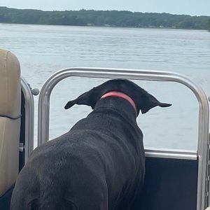 Meet your Posher, Davis